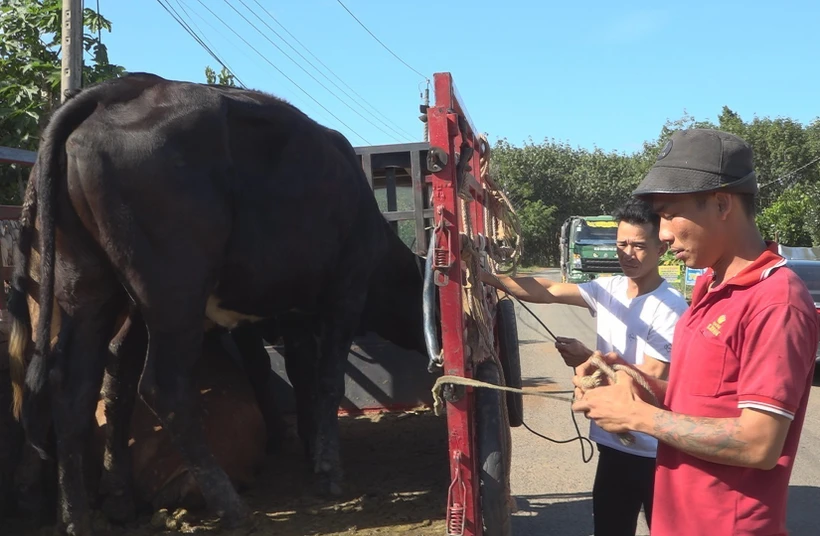 Bình Phước: Nhiều chính sách hỗ trợ phù hợp giúp bà con vùng biên thoát nghèo bền vững