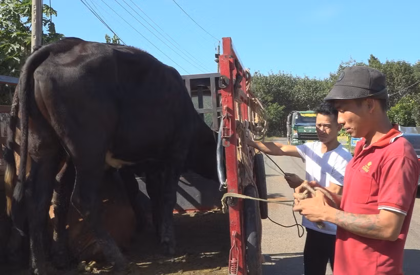 Bình Phước: Nhiều chính sách hỗ trợ phù hợp giúp bà con vùng biên thoát nghèo bền vững