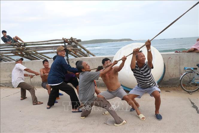 Người dân thôn Mỹ Quang Bắc, xã An Chấn hỗ trợ nhau kéo hạ cành cây được cắt tỉa để ứng phó với bão số 10. Ảnh: Phạm Cường-TTXVN