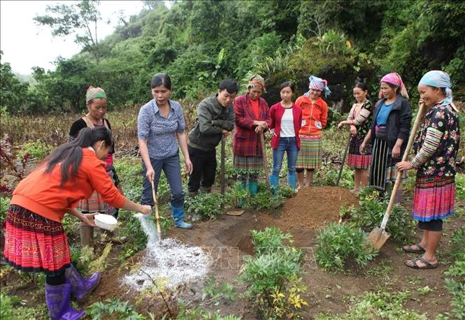 Giáo viên của Trung tâm dạy nghề huyện Sìn Hồ hướng dẫn học viên cách làm đất đúng kỹ thuật, ủ phân với đất trước khi trồng cây ăn quả tại bản Thà Chải, xã Tả Ngảo, huyện Sìn Hồ, tỉnh Lai Châu. Ảnh: Quý Trung – TTXVN