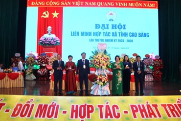 Xây dựng Hợp tác xã mạnh, hoạt động hiệu quả hướng tới xuất khẩu