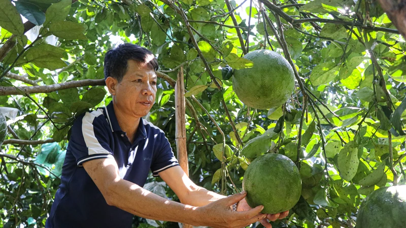 Người dân xã biên giới làm giàu nhờ mô hình kinh tế tổng hợp