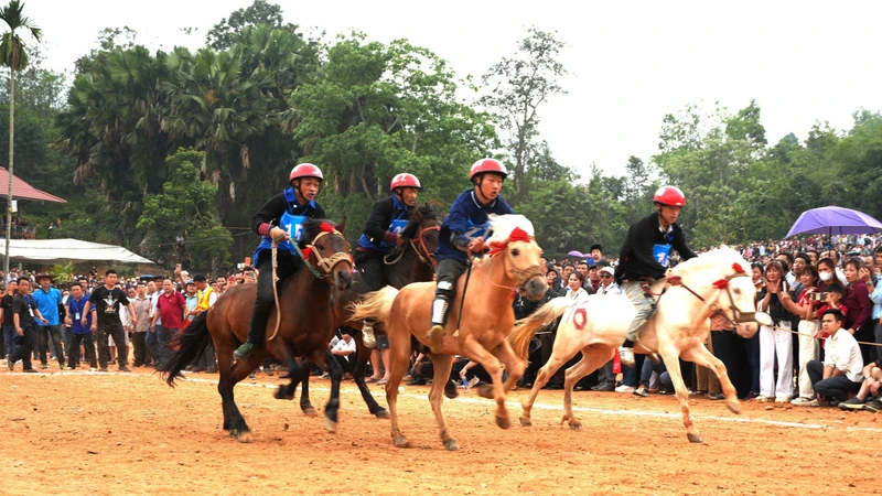 Nét riêng độc đáo của đua ngựa vùng cao thu hút du khách