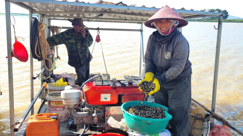 Nghề khai thác hến ở vùng hồ An Khê - Ka Nak