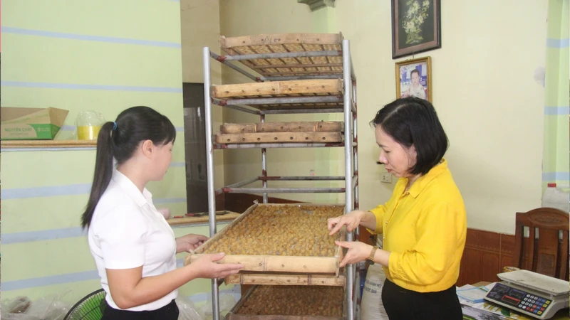 Mở lối phát triển nông nghiệp địa phương, giúp xóa đói giảm nghèo