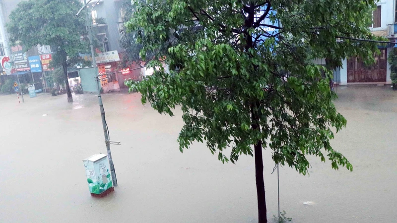 Mưa lớn gây ngập lụt và nhiều thiệt hại cho sản xuất tại Thái Nguyên