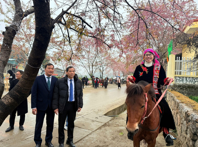 Cưỡi ngựa trải nghiệm và du lịch thông minh được ra mắt tại Lũng Cú (Tuyên Quang). Ảnh: TTXVN phát