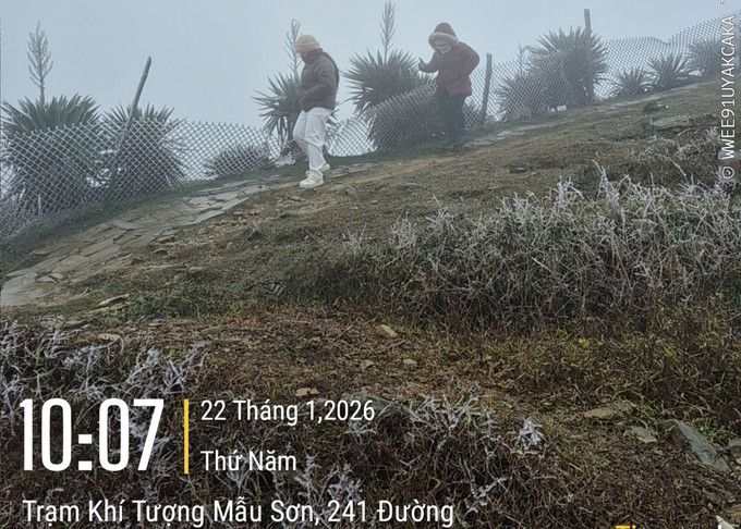 Sáng 22/1/2026, nhiệt độ tại Mẫu Sơn, tỉnh Lạng Sơn đo được ở mức 0.2 độ C và đã bắt đầu xuất hiện hiện tượng băng giá. Ảnh: TTXVN phát