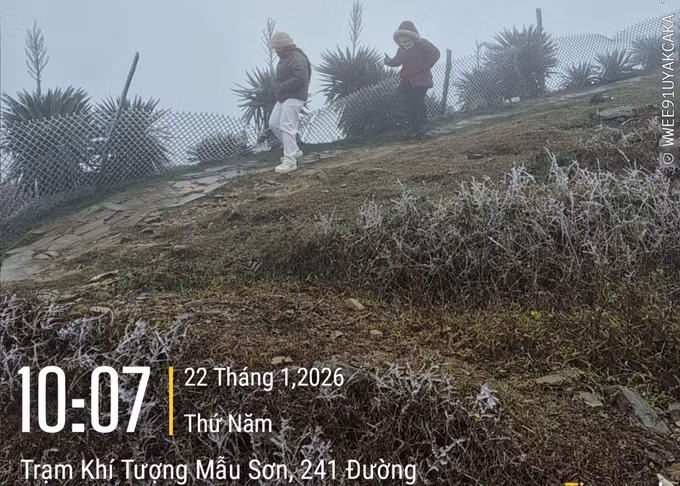 Sáng 22/1/2026, nhiệt độ tại Mẫu Sơn, tỉnh Lạng Sơn đo được ở mức 0.2 độ C và đã bắt đầu xuất hiện hiện tượng băng giá. Ảnh: TTXVN phát