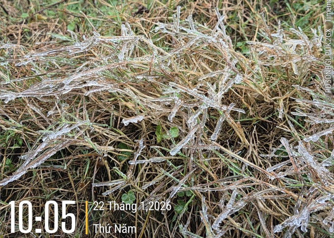 Sáng 22/1/2026, nhiệt độ tại Mẫu Sơn, tỉnh Lạng Sơn đo được ở mức 0.2 độ C và đã bắt đầu xuất hiện hiện tượng băng giá. Ảnh: TTXVN phát