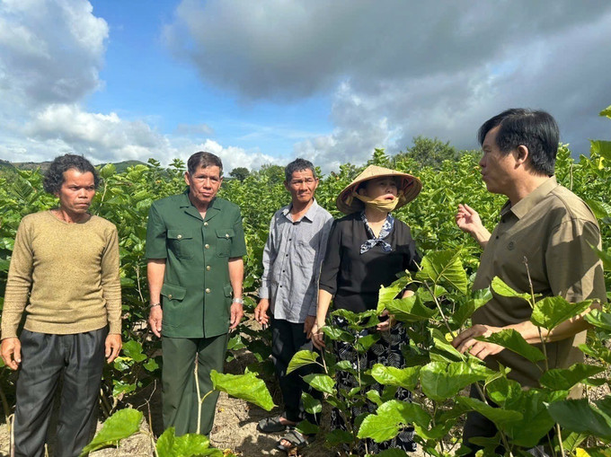 Mô hình nuôi vịt của người dân Bờ Y (Quảng Ngãi). Người dân xã Bờ Y (Quảng Ngãi) trao đổi kinh nghiệm phát triển kinh tế. xa-bo-y-19082025-04.jpg