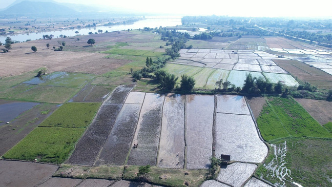 Cánh đồng xã Ia Dreh, tỉnh Gia Lai đang được người dân tích cực cải tạo sau thiên tai.