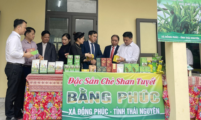 Ban tổ chức tham quan, tìm hiểu các sản phẩm chè Shan Tuyết Bằng Phúc. Ảnh: TTXVN phát