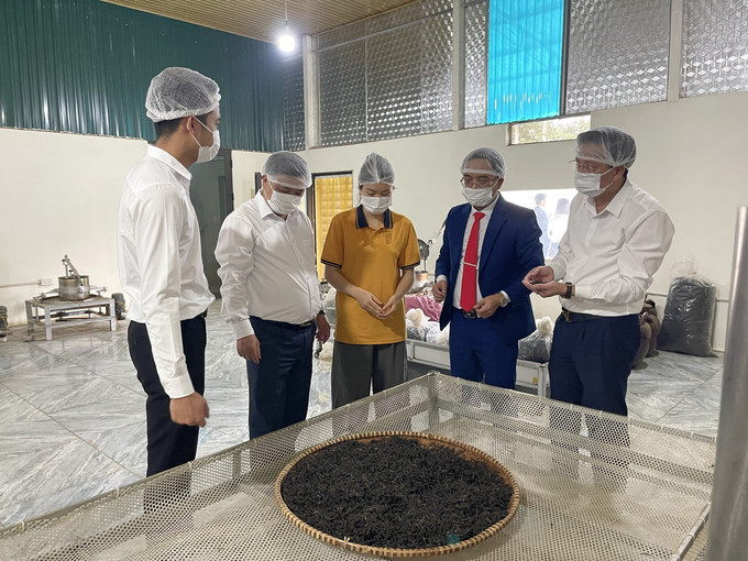 Ban tổ chức tham quan, tìm hiểu các sản phẩm chè Shan Tuyết Bằng Phúc. Ảnh: TTXVN phát