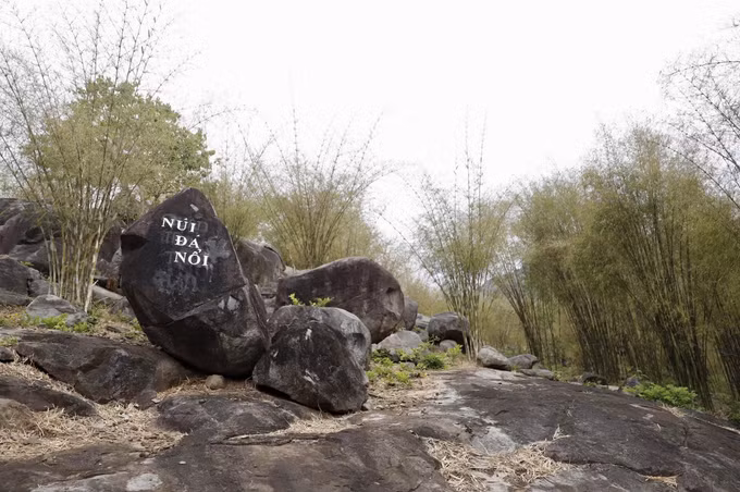 Những triền đồi núi đá dưới chân núi Cấm (xã Núi Cấm, tỉnh An Giang) được phủ xanh bởi cây tầm vông.