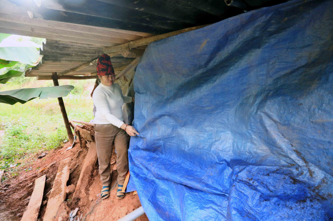 Nhân dân ở bản Củ, xã Mường Khiêng, tỉnh Sơn La, che chắn chuồng trại nhằm đảm bảo sức khỏe cho đàn vật nuôi trong những ngày rét đậm.