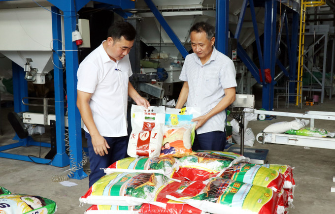 Các sản phẩm gạo đạt tiêu chuẩn OCOP 3 sao, 4 sao của Công ty TNHH Cường Tân (xã Ninh Cường, tỉnh Ninh Bình). Các sản phẩm gạo đạt tiêu chuẩn OCOP 3 sao, 4 sao của Công ty TNHH Cường Tân (xã Ninh Cường, tỉnh Ninh Bình).