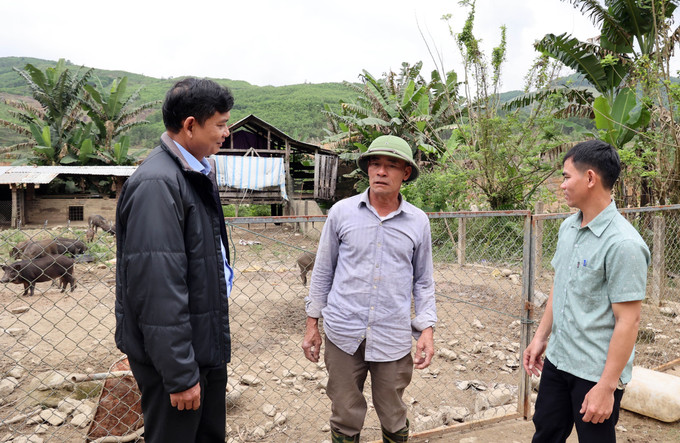 Ông Võ Bàng (giữa) cùng lãnh đạo Đảng ủy xã miền núi Trà tân, thành phố Đà Nẵng trao đổi kinh nghiệp nuôi heo rừng lai. Ảnh: Trần Tĩnh - TTXVN