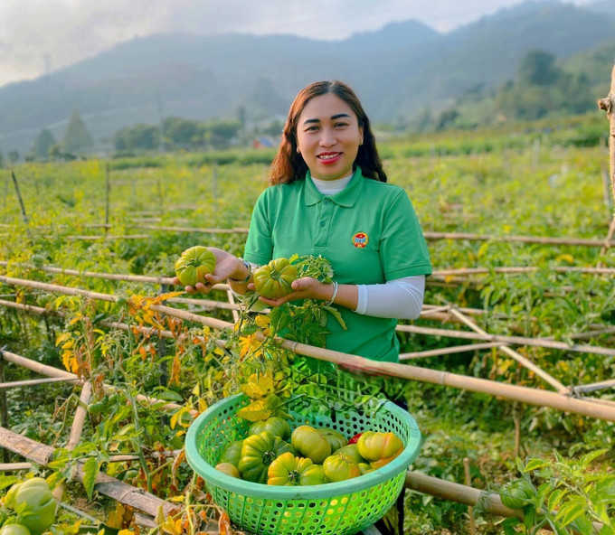 Mô hình vườn rau xanh sạch, trái chín tự nhiên tại xã Tương Dương (Nghệ An).
