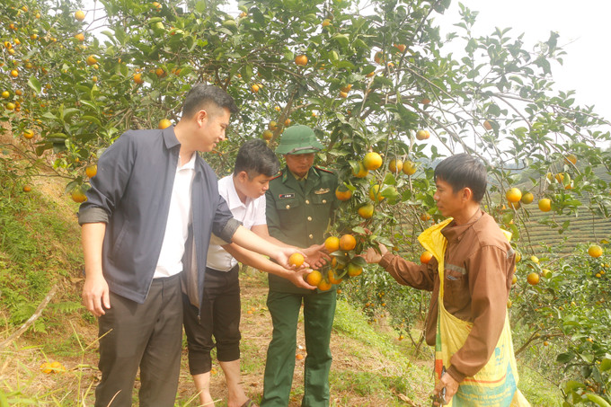 Với lợi thế đất đồi núi, cây có múi cam, quýt, bưởi được xác định thuộc nhóm các loại cây ăn quả chủ lực trồng tập trung, có giá trị cao của xã Hạnh Lâm, tỉnh Nghệ An.