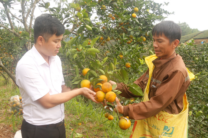 Chính quyền địa phương tuyên truyền, hướng dẫn nông dân ứng dụng các tiến bộ kỹ thuật giúp tiết kiệm chi phí và tăng hiệu quả dinh dưỡng.