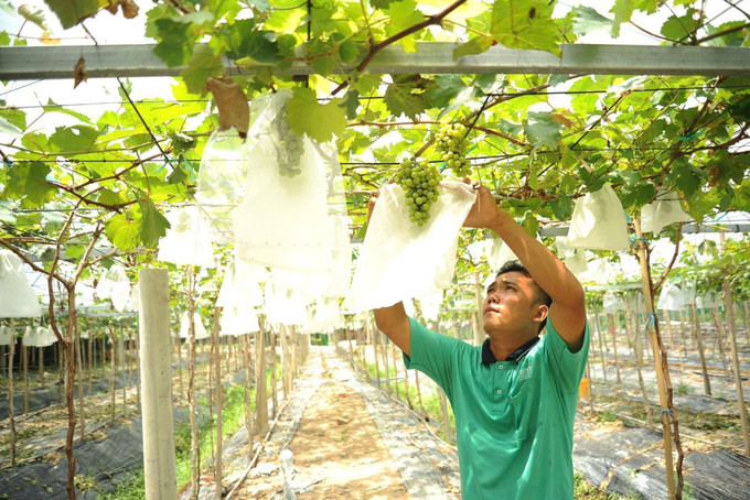 Người dân xã Ô Lâm đầu tư phát triển kinh tế vườn đồi để kinh doanh du lịch tại khu vực hồ Ô Thum. Ảnh: Công Mạo/TTXVN Người dân xã Ô Lâm đầu tư phát triển kinh tế vườn đồi để kinh doanh du lịch tại khu vực hồ Ô Thum. Ảnh: Công Mạo/TTXVN