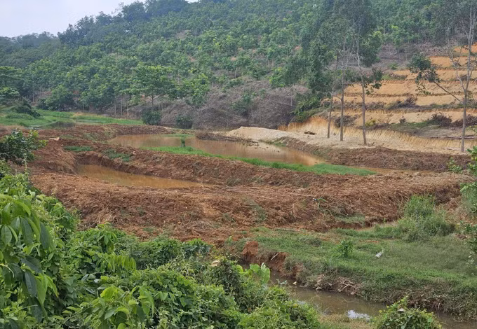 Qua kiểm tra, UBND xã Phú Riềng xác định ông Bùi Ngọc Hoàn (ngụ thôn Phú Tân, xã Phú Riềng) là người thực hiện các hoạt động cải tạo gây ảnh hưởng đến hồ Chế Biến.