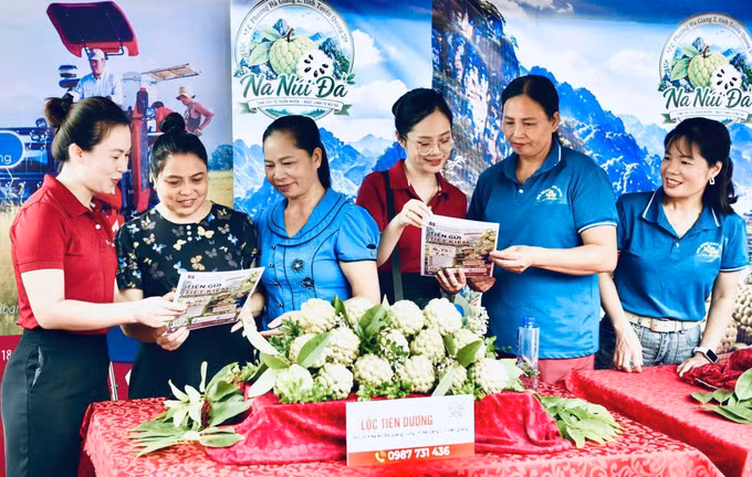 Cán bộ Agribank giới thiệu các chương trình, sản phẩm Ngân hàng tới người dân và hộ trồng na tại không gian trưng bày na núi đá Quang Trung, phường Hà Giang 2 (Tuyên Quang).