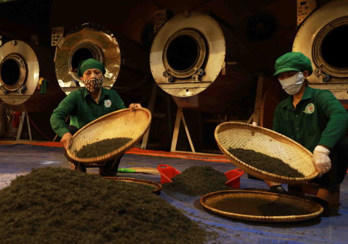 Phân loại chè trước khi đóng gói thành phẩm ở Hợp tác xã chè Hảo Đạt ở xã Tân Cương, thành phố Thái Nguyên. Ảnh: Vũ Sinh/TTXVN Phân loại chè trước khi đóng gói thành phẩm ở Hợp tác xã chè Hảo Đạt ở xã Tân Cương, thành phố Thái Nguyên. Ảnh: Vũ Sinh/TTXVN