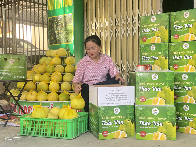 Bưởi Phúc Trạch được đóng gói để chuyển tới tay người tiêu dùng. Bưởi Phúc Trạch được đóng gói để chuyển tới tay người tiêu dùng.