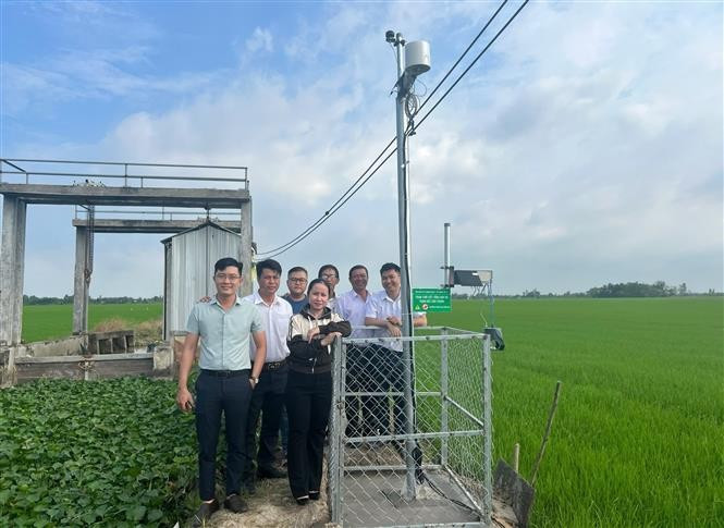 Trạm theo dõi thời tiết và bẫy côn trùng giúp các hợp tác xã chủ động, nâng cao hiệu quả trong canh tác lúa. Ảnh: TTXVN phát