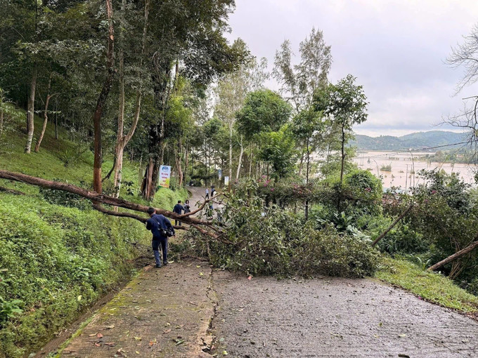 Các vết nứt lớn tại khu vực có nguy cơ sạt lở ở đồi Yang Yeh, xã Hòa Sơn, tỉnh Đắk Lắk. Ảnh: TTXVN phát
