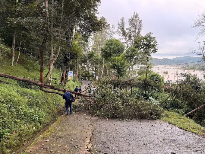 Các vết nứt lớn tại khu vực có nguy cơ sạt lở ở đồi Yang Yeh, xã Hòa Sơn, tỉnh Đắk Lắk. Ảnh: TTXVN phát
