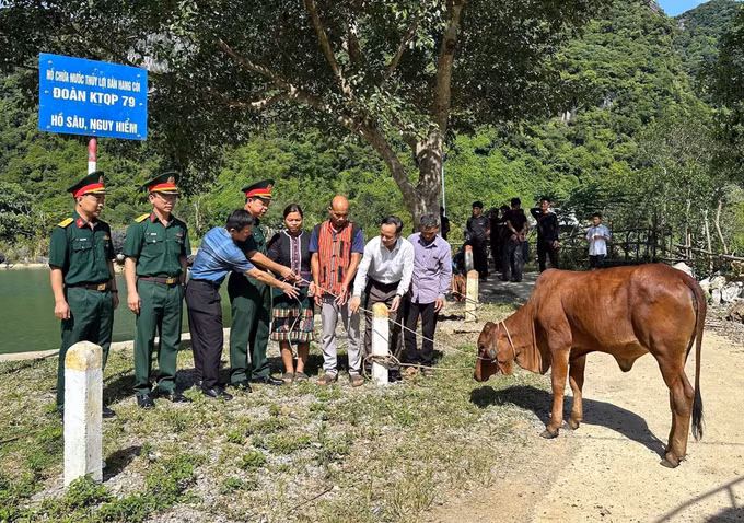 Đoàn Kinh tế - Quốc phòng 79 (Binh đoàn 15) trao tặng bò giống sinh sản cho người dân cụm Còi, bản Còi Đá, xã Kim Ngân. Ảnh: TTXVN phát