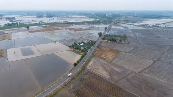 Nông dân Tây Ninh khẩn trương xuống giống vụ lúa Hè Thu 2026 trên các cánh đồng trọng điểm.