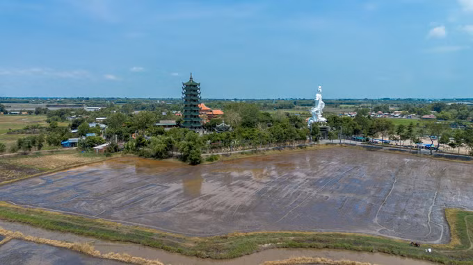 Những đồng ruộng vừa được gieo sạ vụ Hè Thu 2026.