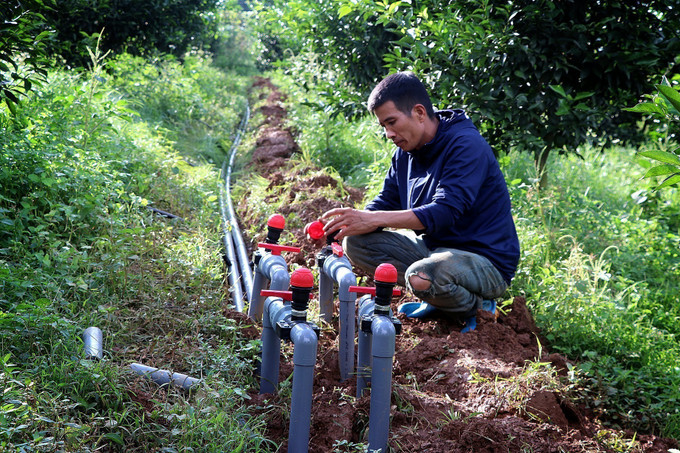 Hệ thống tưới tiêu tự động tại vườn của các hộ gia đình.