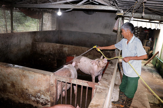Các hộ gia đình chăm chỉ, tập trung lao động sản xuất, đảm bảo vệ sinh môi trường.