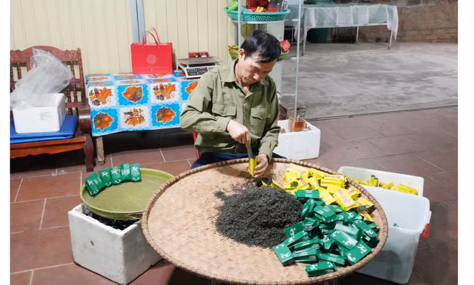 Xã viên HTX Việt Kiều trà, xã Phú Thịnh (Thái Nguyên) đóng gói sản phẩm chè đặc sản địa phương. Ảnh: Hoàng Nguyên/TTXVN
