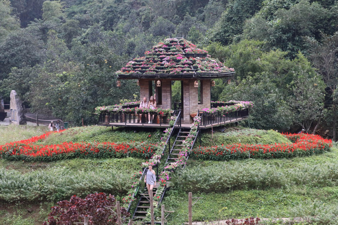 Hơn 30 giống hoa khác nhau được trồng hợp lý theo từng mùa tạo nên không gian lung linh, thơ mộng cho Khu du lịch sinh thái Thung Nham, tỉnh Ninh Bình.