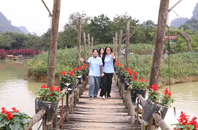 Du khách tham quan “Đảo hoa”.