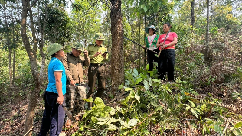 Điện Biên yêu cầu dừng ngay việc đốt nương thời gian cao điểm nắng nóng