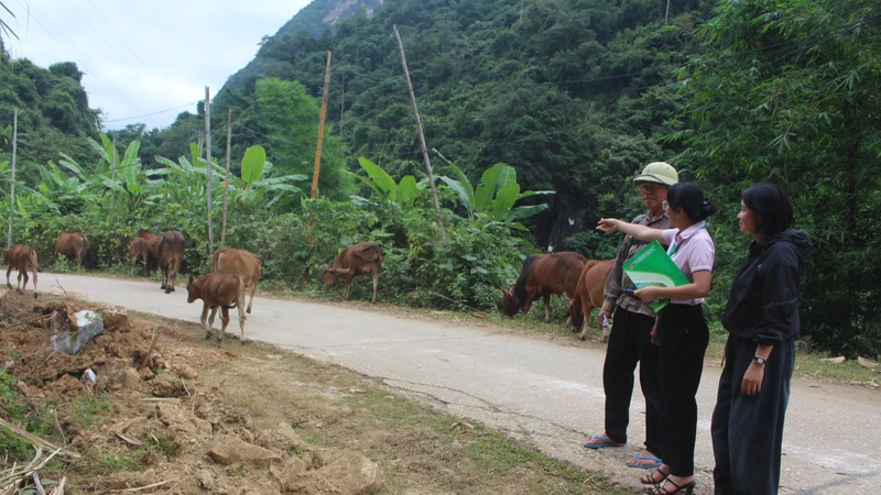 Đòn bẩy giúp đồng bào vùng cao biên giới Thanh Hóa thoát nghèo