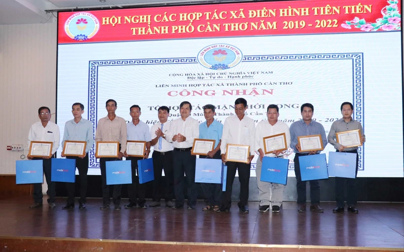 Công nhận danh hiệu điển hình tiên tiến cho các HTX, Tổ Hợp tác. Ảnh: Ngọc Thiện - TTXVN 