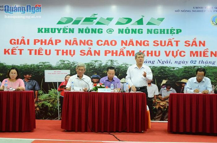 Năm 2019, diện tích sắn (mì) cả nước đạt hơn 519.000 ha. Nguồn :baoquangngai.vn