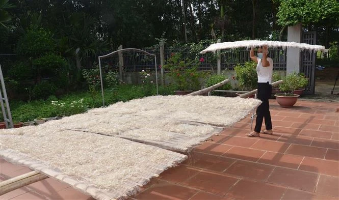 Công đoạn phơi miến dong Hương Ngọc. Ảnh: Nguyễn Nam-TTXVN 