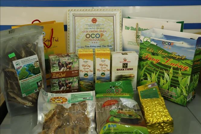 Các sản phẩm nông sản OCOP của Yên Bái. Ảnh: Tiến Khánh - TTXVN