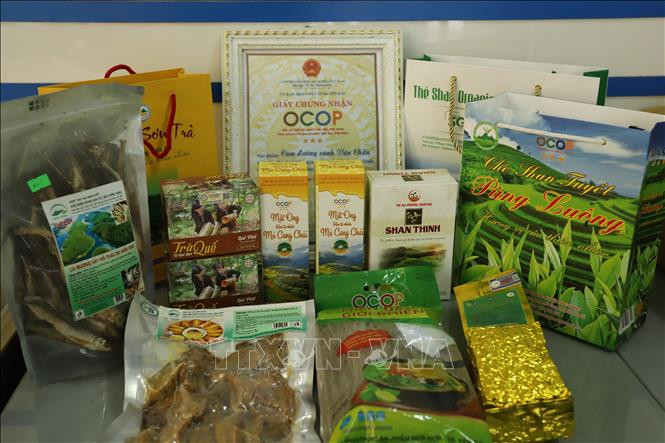 Các sản phẩm nông sản OCOP của Yên Bái. Ảnh: Tiến Khánh - TTXVN