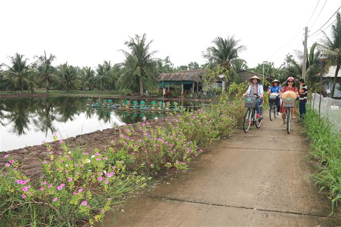 Du khách đạp xe tham quan Cồn Chim. Ảnh: Thanh Hòa - TTXVN