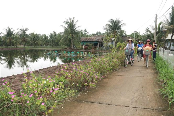 Du khách đạp xe tham quan Cồn Chim. Ảnh: Thanh Hòa - TTXVN